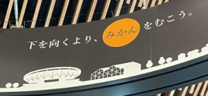 下を向くよりみかんをむこう