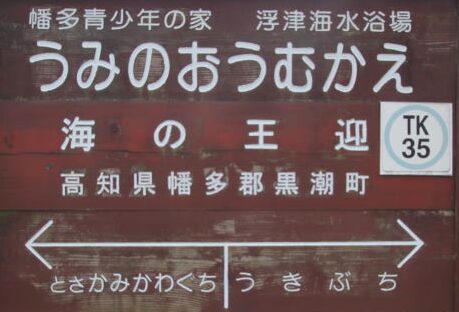 土佐くろしお鉄道海の王迎駅
